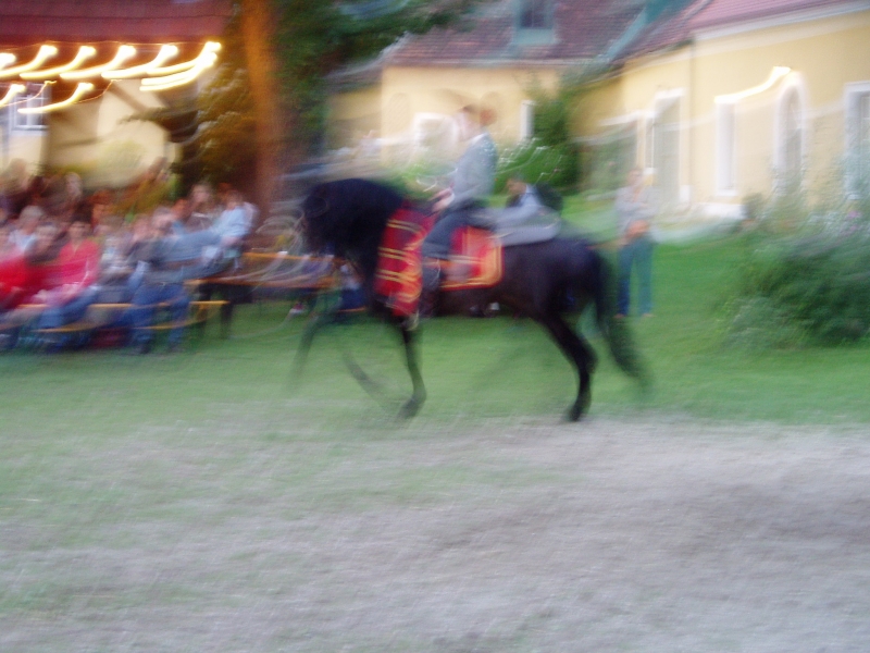 Lilienhof 270805 155